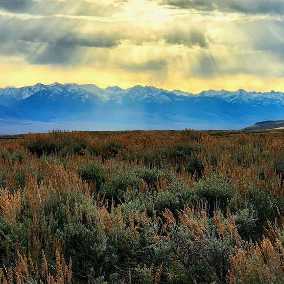 Meet your Posher, Kristen - Picture 1 of 1